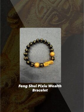 EUC Feng Shui Pixiu Wealth Bracelet